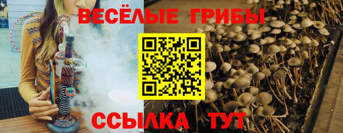 Серпухов  Галлюциногенные грибы Psilocybe  Вход с VPN 