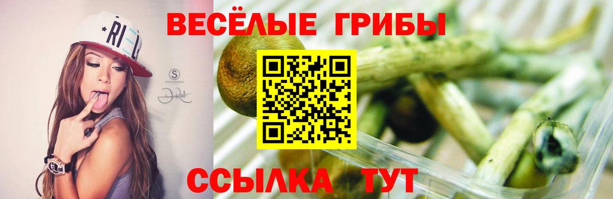 Галлюциногенные грибы MAGIC MUSHROOMS Серпухов